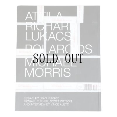 画像2: Attila Richard Lukacs / Polaroids / Michael Morris