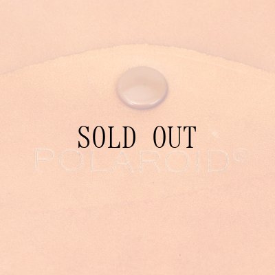 画像4: POLAROID 本革エバーレディーケース