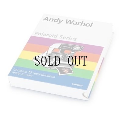 画像1: KIDROBOT/Andy Warhol(アンディ・ウォーホル) ポラロイドシリーズ