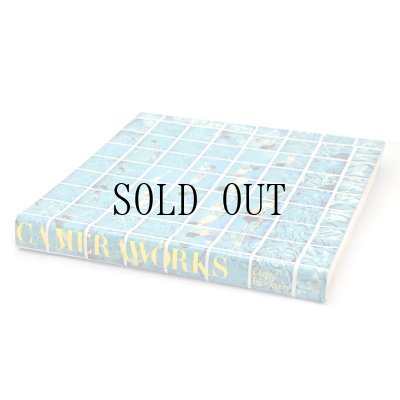 画像3: CAMERAWORKS/DAVID HOCKNEY