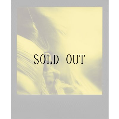 画像6: Polaroid | B&Y Duochrome 600 Film