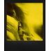 画像6: Polaroid | B&Y Duochrome 600 Film　※NEW (6)