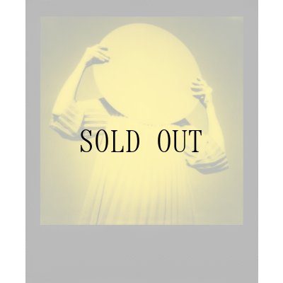 画像3: Polaroid | B&Y Duochrome 600 Film