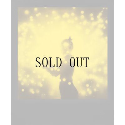 画像7: Polaroid | B&Y Duochrome 600 Film