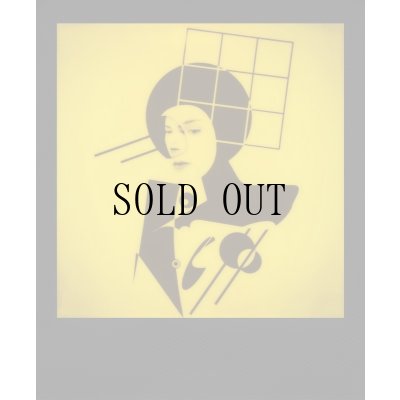 画像4: Polaroid | B&Y Duochrome 600 Film