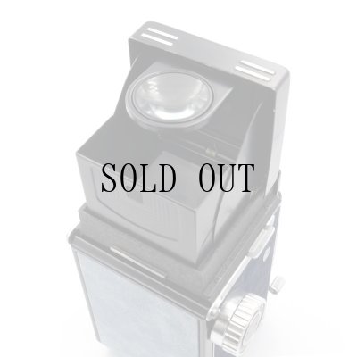 画像4: ごん色カメラRICOHFLEX