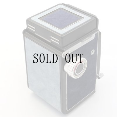 画像5: ごん色カメラRICOHFLEX