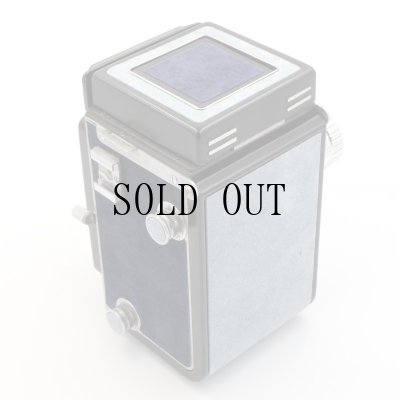 画像6: ごん色カメラRICOHFLEX