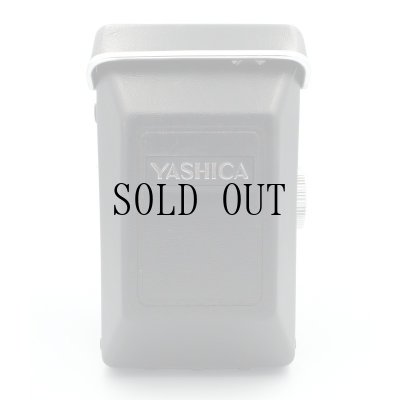画像14: Yashica Mat 124 ケース付き