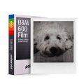 Polaroid | B&W 600 Film　※New