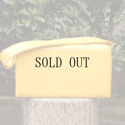 画像3: ［渋谷ロフト店］ビンテージ Kodak VericolorIII バッグ 