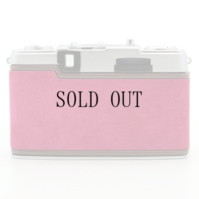 画像5: ごん色カメラ OLYMPUS PEN EE-2