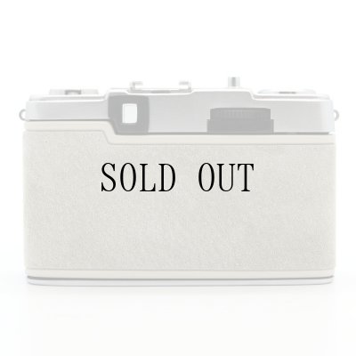 画像5: ごん色カメラ OLYMPUS PEN EE-2