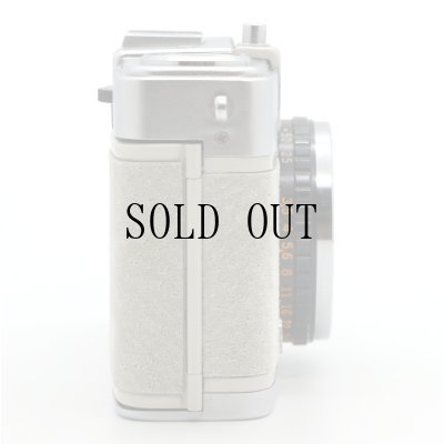 画像4: ごん色カメラ OLYMPUS PEN EE-2