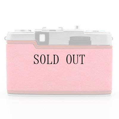 画像5: ごん色カメラ OLYMPUS PEN EES-2