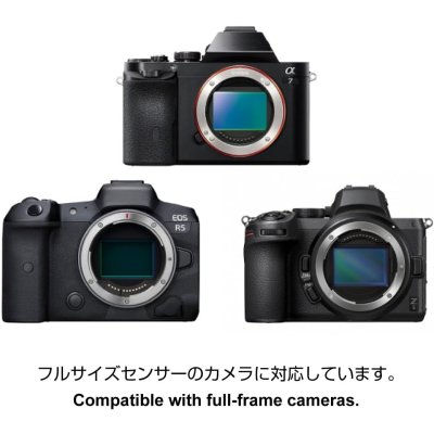 画像7: GIZMON Vivilens