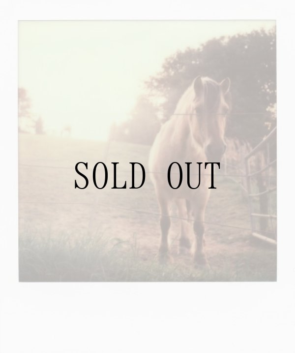 画像5: Color Film for SX-70　