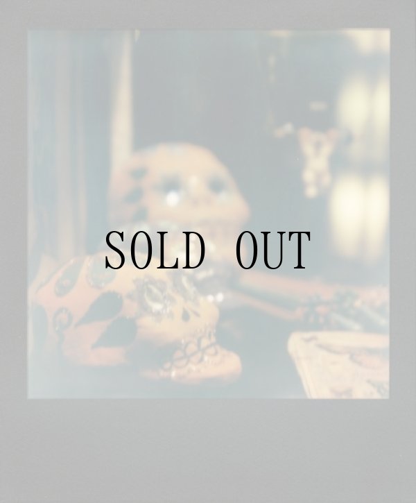 画像3: Color Film for 600 Black Frame