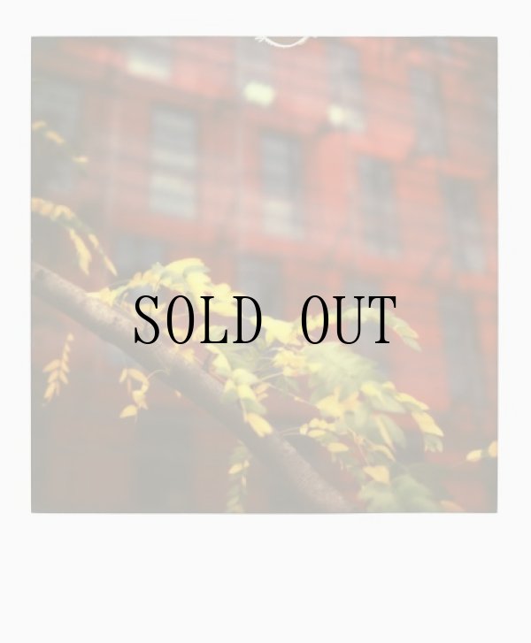 画像2: Color Film for 600　