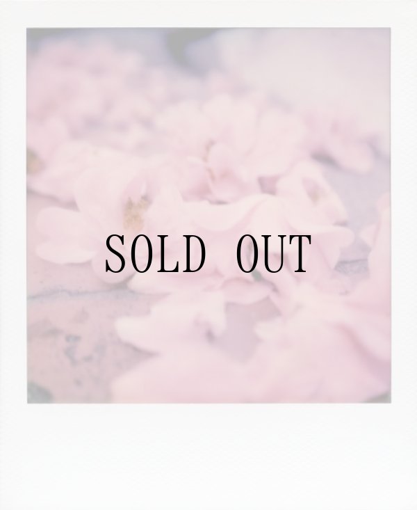 画像9: Color Film for SX-70　