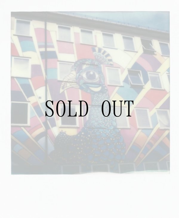 画像7: Color Film for SX-70　