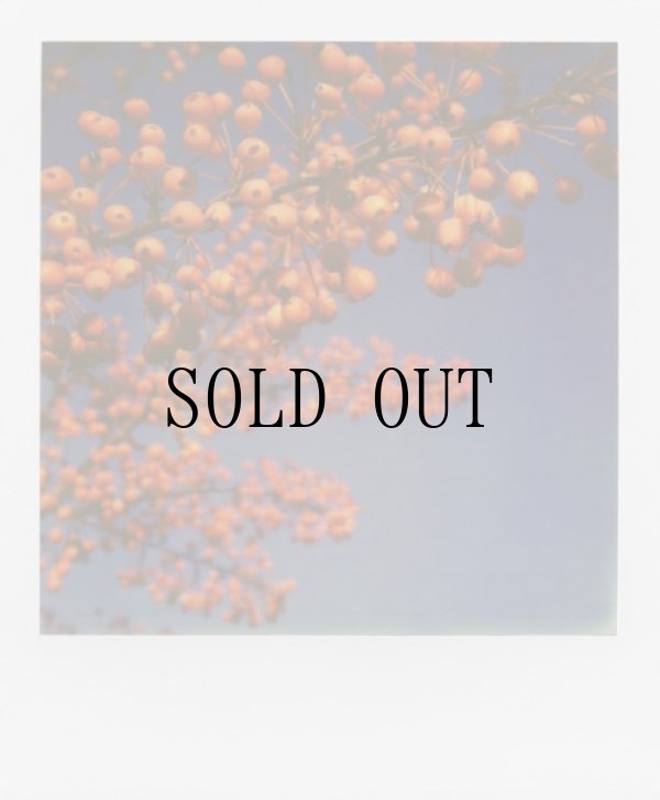 画像8: Color Film for 600　