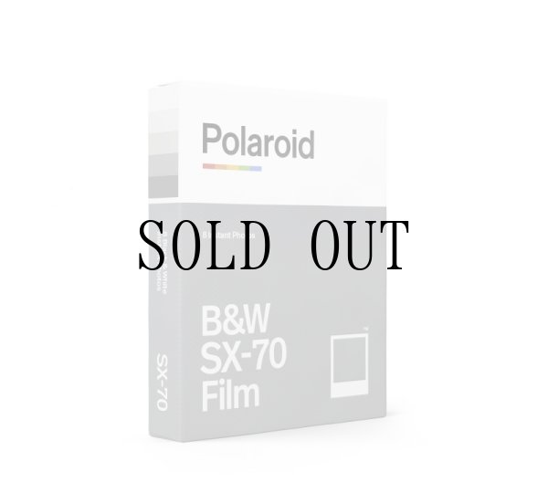 画像3: Polaroid | B&W SX-70 Film