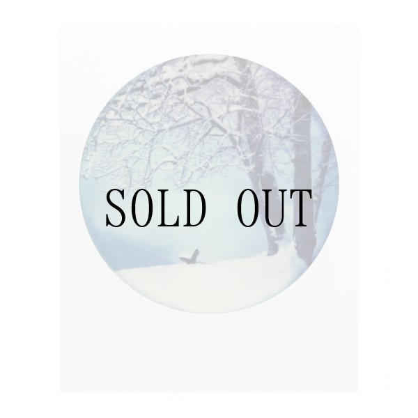 画像10: Polaroid | Color 600 Film (Round Frame)　※NEW