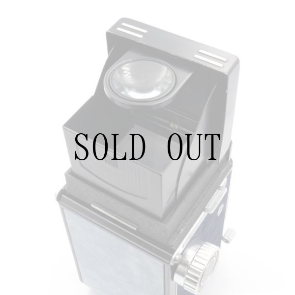 画像4: ごん色カメラRICOHFLEX