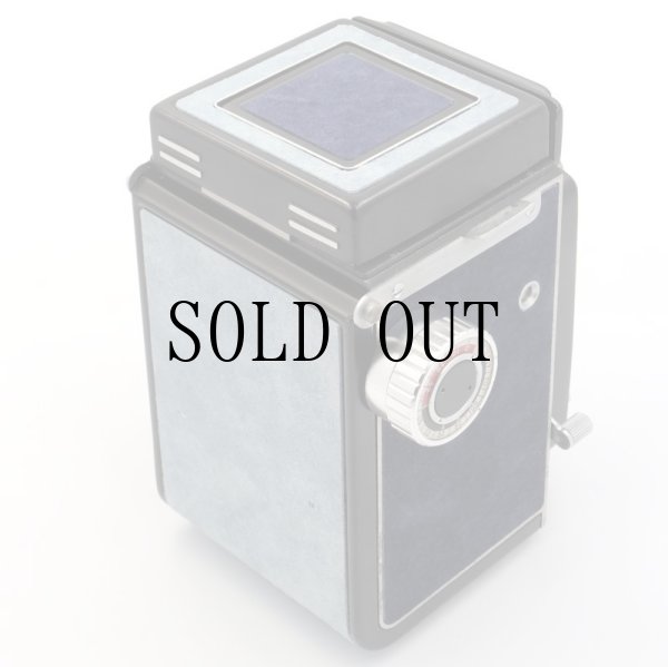 画像5: ごん色カメラRICOHFLEX