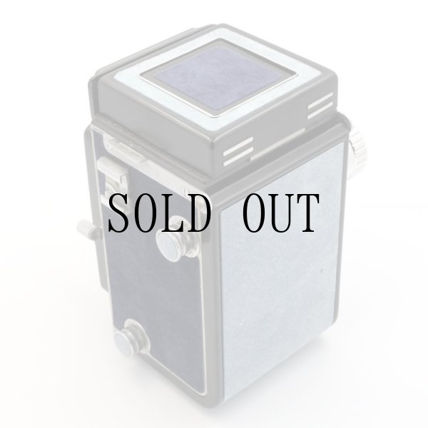 画像6: ごん色カメラRICOHFLEX