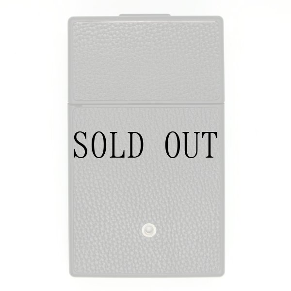 画像6: (B3824) ALPHA1 MODEL2