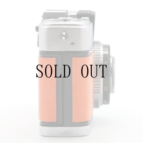 画像4: ごん色カメラ OLYMPUS PEN-S