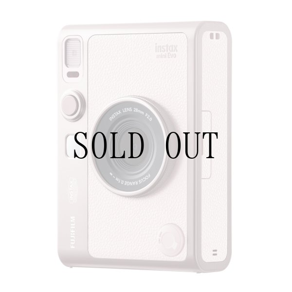 画像2: チェキ instax mini Evo GENTLE ROSE（ジェントル ローズ）